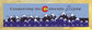 Colorado Slopes Blue Pine