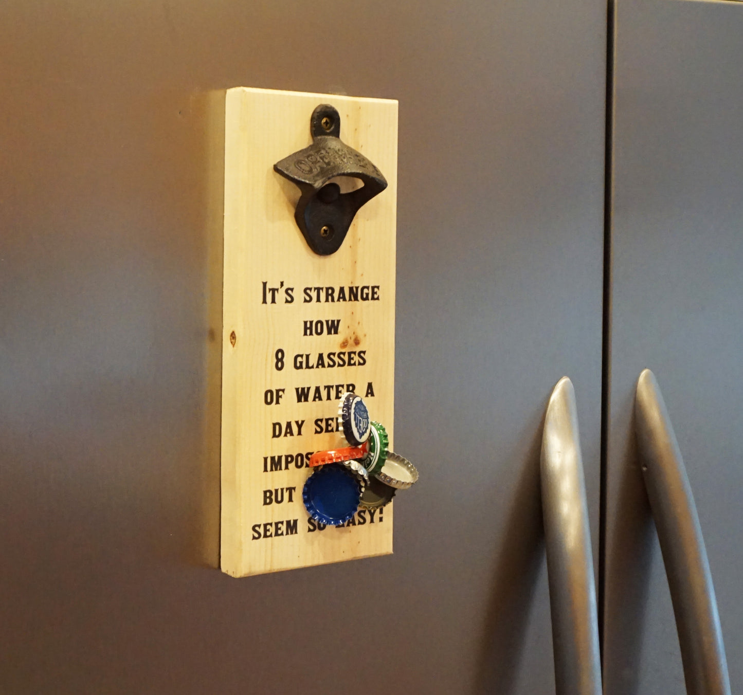 Magnetic Bottle Opener - Humor & Beer